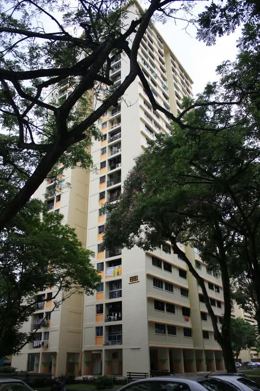 223 Lorong 8 Toa Payoh