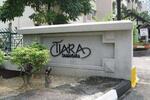 Tiara Damansara #0