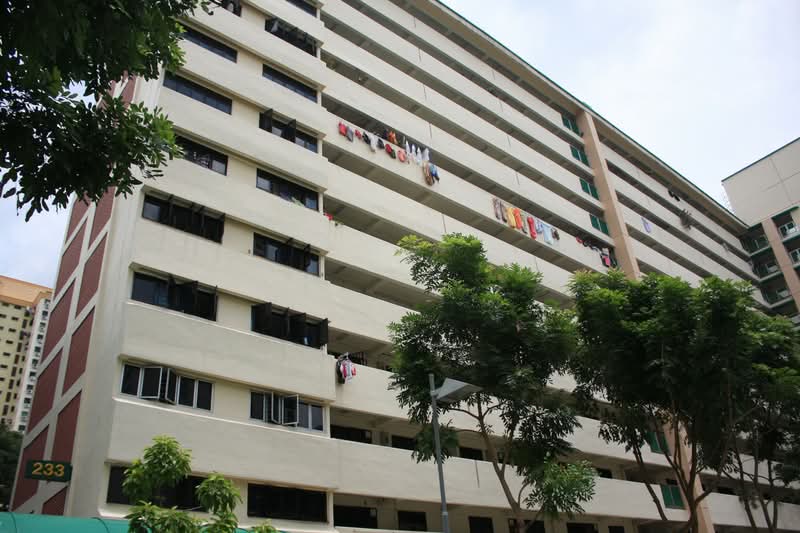 233 Lorong 8 Toa Payoh