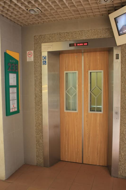 233 Lorong 8 Toa Payoh