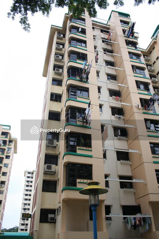 234 Lorong 8 Toa Payoh #0
