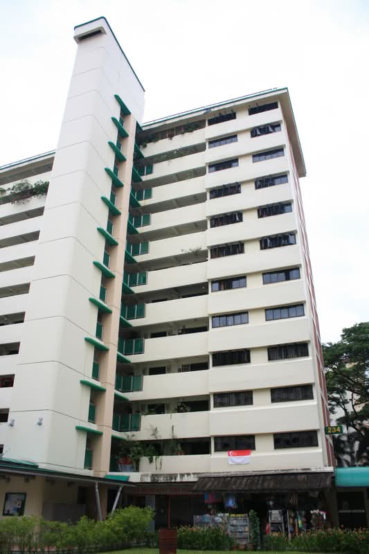 234 Lorong 8 Toa Payoh
