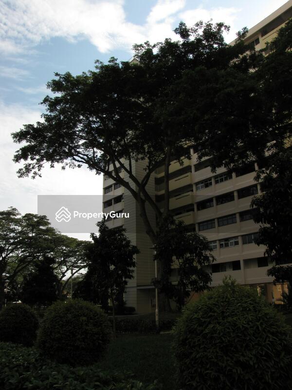 7 Marine Terrace #0