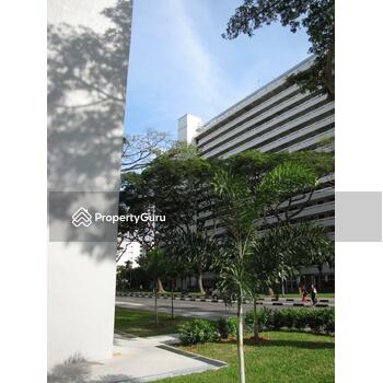15 Marine Terrace
