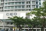 The CEO #0