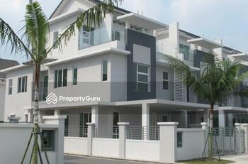 Grandis Palms