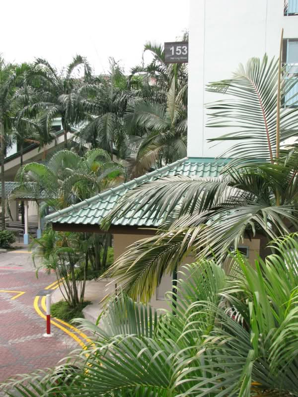 153 Mei Ling Street