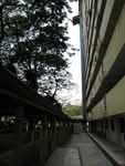 155 Mei Ling Street #0