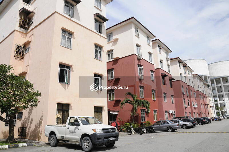 For Rent - Orchid @ Anggerik