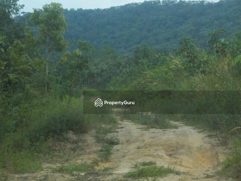 Kampung Bukit Kerayong #0