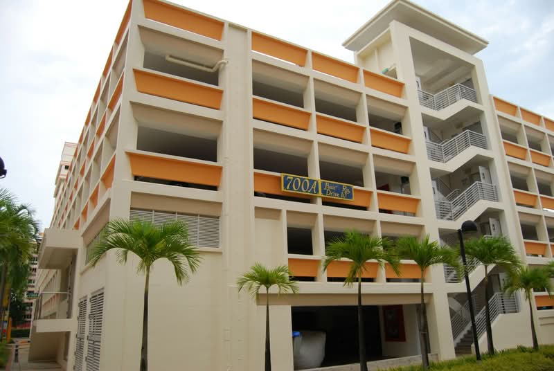 739 Pasir Ris Drive 10