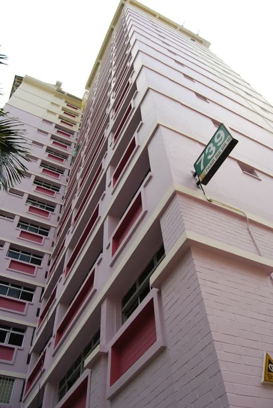 739 Pasir Ris Drive 10