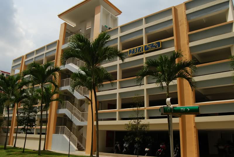 231 Pasir Ris Drive 4