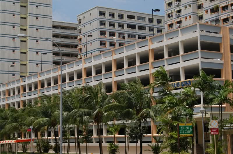 231 Pasir Ris Drive 4