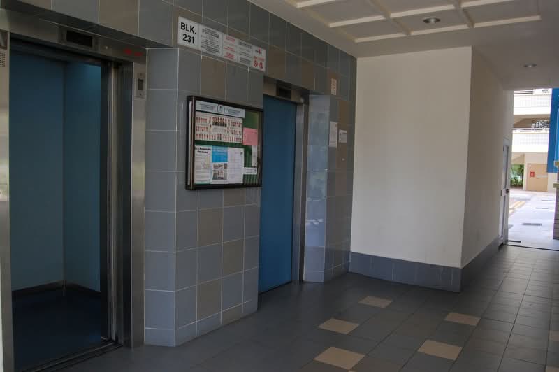 231 Pasir Ris Drive 4