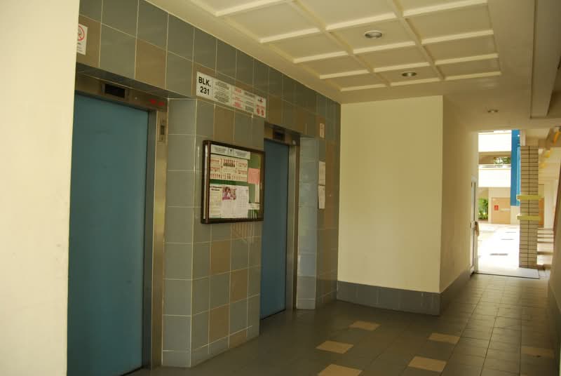 231 Pasir Ris Drive 4