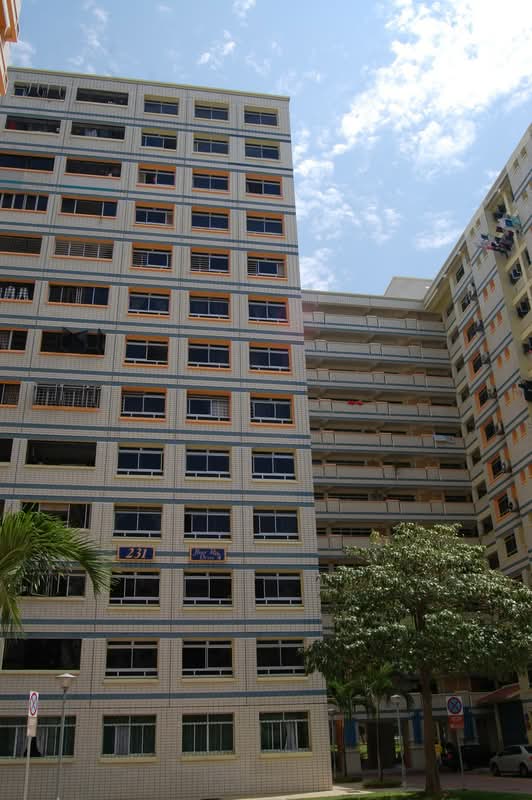 231 Pasir Ris Drive 4