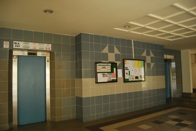 233 Pasir Ris Drive 4