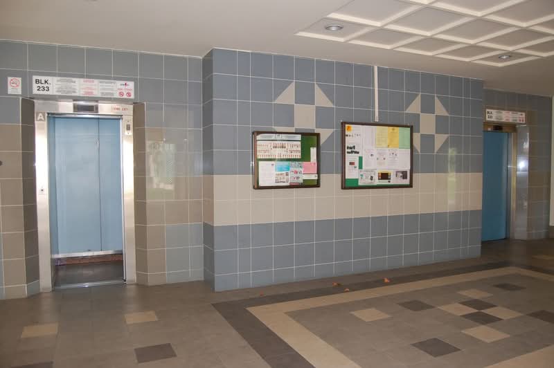 233 Pasir Ris Drive 4