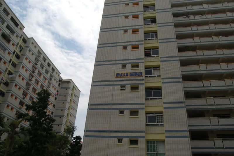 233 Pasir Ris Drive 4