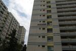 233 Pasir Ris Drive 4 #0