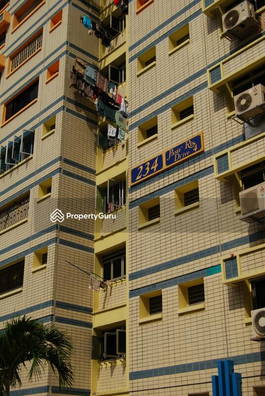 234 Pasir Ris Drive 4 #0