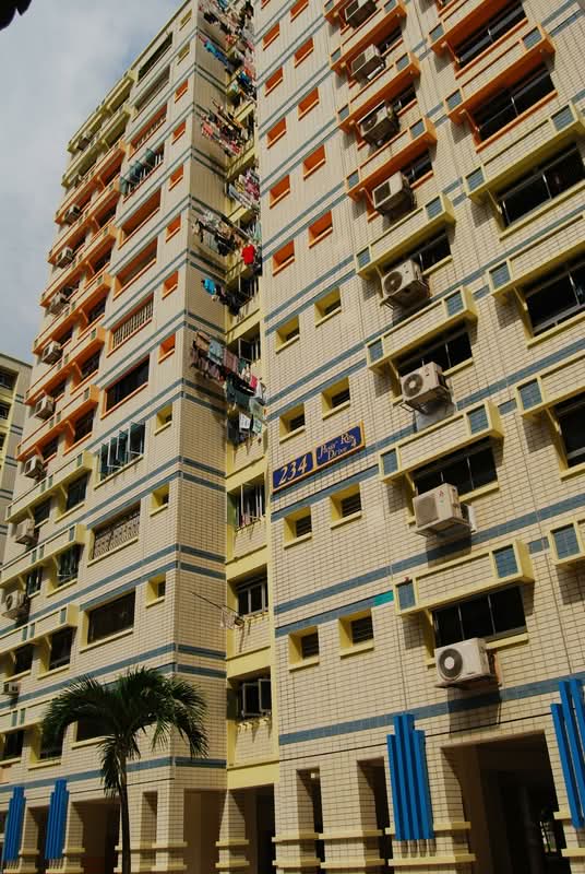 234 Pasir Ris Drive 4