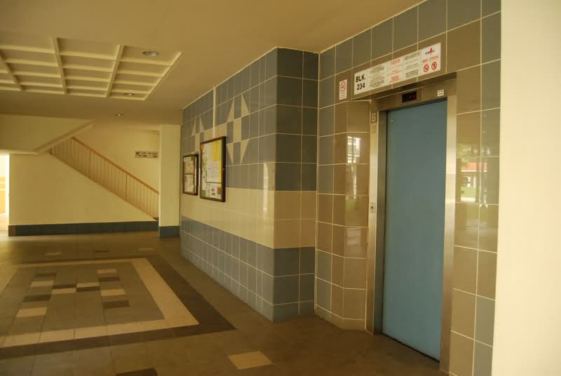 234 Pasir Ris Drive 4