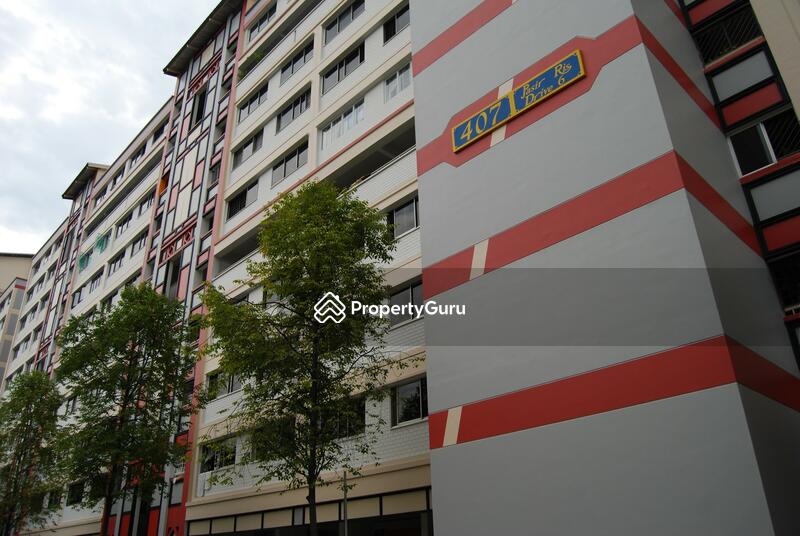 407 Pasir Ris Drive 6 #0