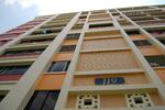 119 Pasir Ris Street 11 #0