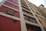 125 Pasir Ris Street 11 #0