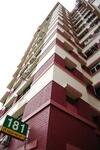 181 Pasir Ris Street 11 #0