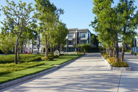 ให้เช่า - Town Avenue Rama 9 : ทาวน์ อเวนิว พระราม 9, กรุงเทพ