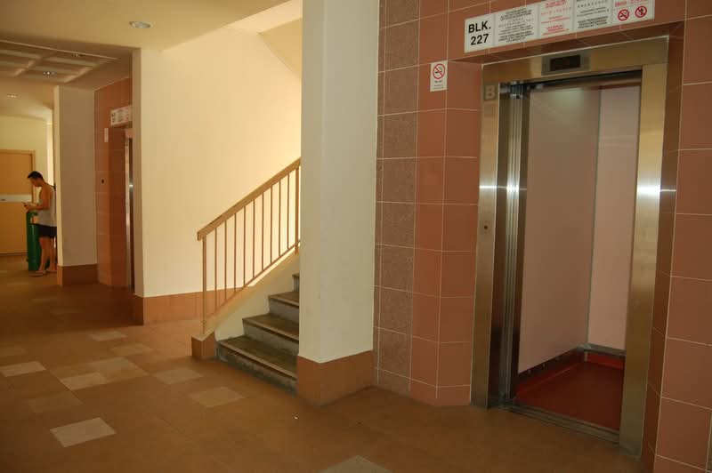 227 Pasir Ris Street 21