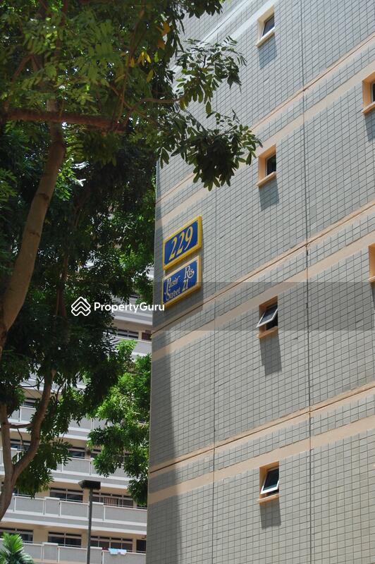 229 Pasir Ris Street 21 #0