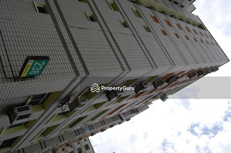 238 Pasir Ris Street 21 #0