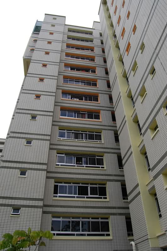 238 Pasir Ris Street 21