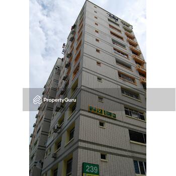 239 Pasir Ris Street 21