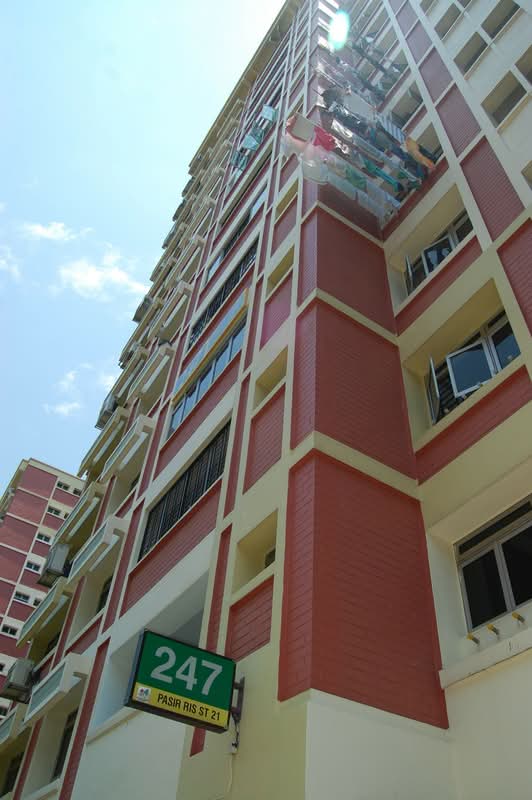 247 Pasir Ris Street 21