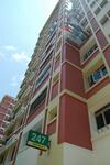 247 Pasir Ris Street 21 #0
