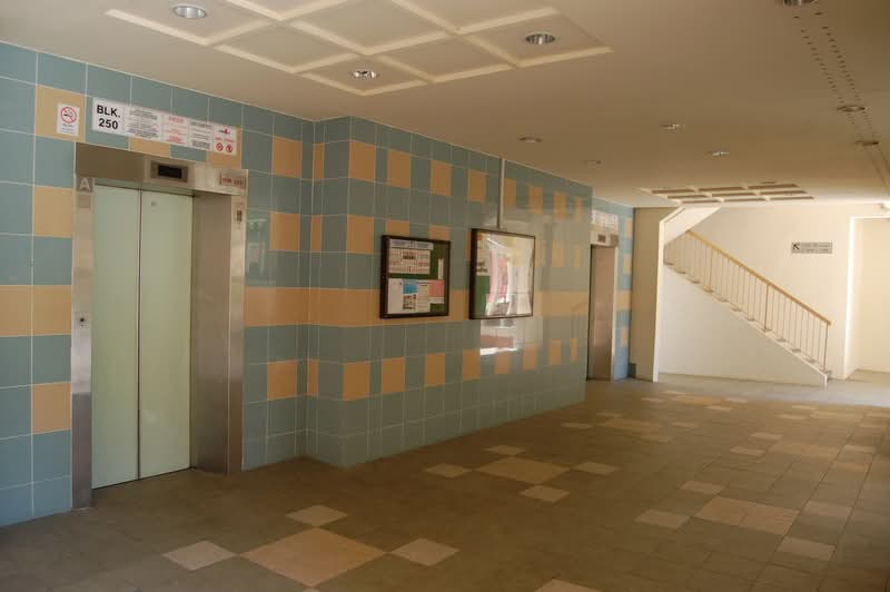 250 Pasir Ris Street 21