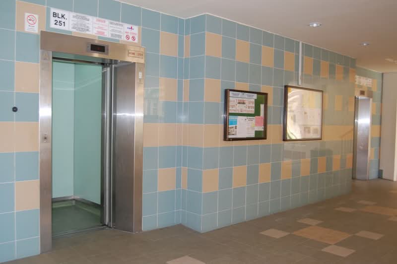 251 Pasir Ris Street 21