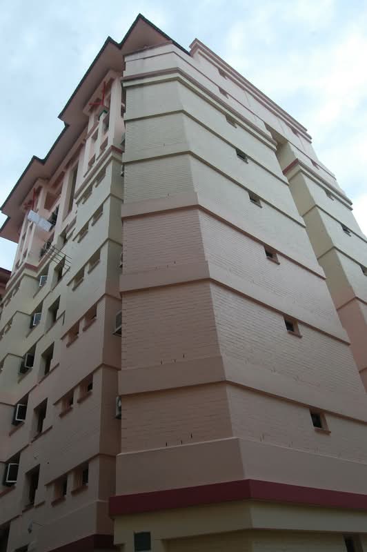 254 Pasir Ris Street 21