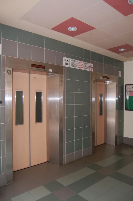256 Pasir Ris Street 21