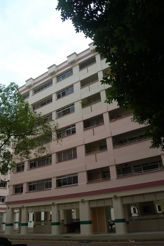 256 Pasir Ris Street 21