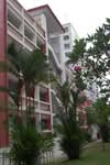 204A Pasir Ris Street 21 #0