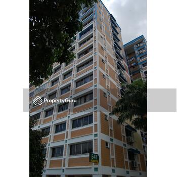 541 Pasir Ris Street 51