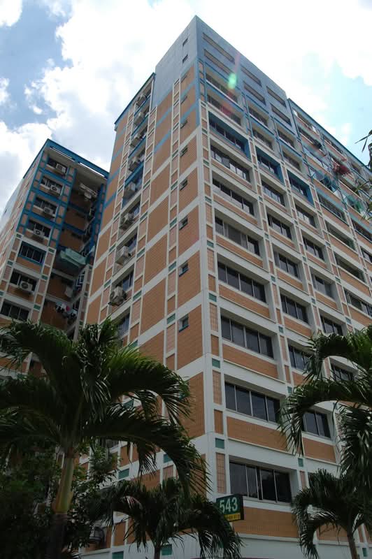 543 Pasir Ris Street 51