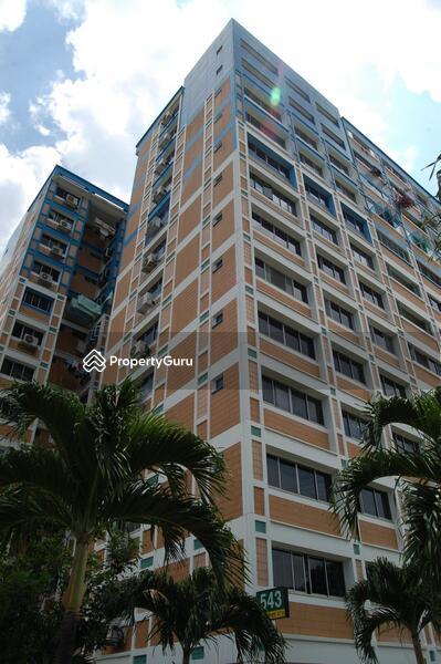 For Sale - 543 Pasir Ris Street 51