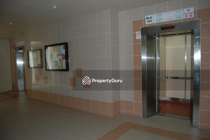 For Rent - 503 Pasir Ris Street 52